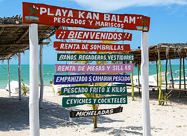 Painted wooden beach signs at Playa Kan Balam, Celestun, Yucatan, Mexico, North America