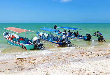 Lunch point on beach for tourist boat trips, Paseos en Launch, Celestun, Yucatan, Mexico, North America