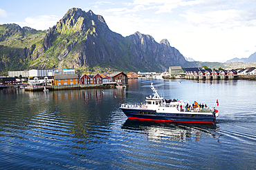 Tourist boat in harbour at Svolvaer, Lofoten Islands, Nordland, Norway, Scandinavia, Europe