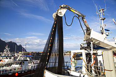 Fishing boats in the harbour at Svolvaer, Lofoten Islands, Nordland, Norway, Scandinavia, Europe