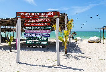 Painted wooden beach signs at Playa Kan Balam, Celestun, Yucatan, Mexico, North America