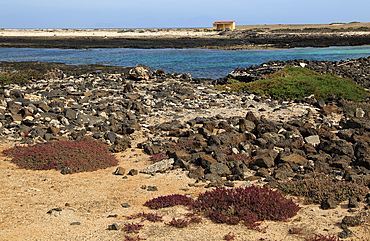 Coastal landscape near village of Majanicho on the north coast, Fuerteventura, Canary Islands, Spain, Atlantic, Europe