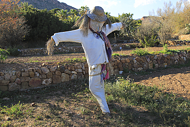 Scarecrow at botanical gardens at Rodalquilar, Cabo de Gata natural park, Almeria, Andalusia, Spain, Europe