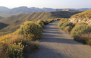 Quiet lane in mountains, Torre Vigia de los Lobos, Rodalquilar, Cabo de Gata natural park, Almeria, Spain, Europe