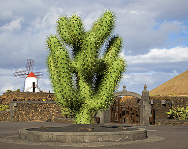 Giant green cactus sculpture outside Jardin de Cactus designed by Cesar Manrique, Guatiza, Lanzarote, Canary Islands, Spain, Atlantic, Europe