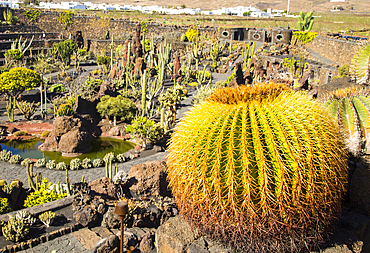 Jardin de Cactus designed by Cesar Manrique, Guatiza, Lanzarote, Canary Islands, Spain, Atlantic, Europe