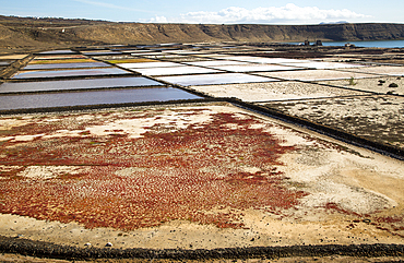 Traditional sea salt production, Salinas de Janubio, Lanzarote, Canary Islands, Spain, Atlantic, Europe