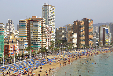 High rise apartment buildings and hotels seafront, Playa Levante sandy beach, Benidorm, Alicante province, Spain, Europe