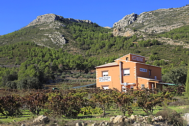 Mountain landscape near Xalo (Jalon), Marina Alta, Alicante province, Spain, Europe