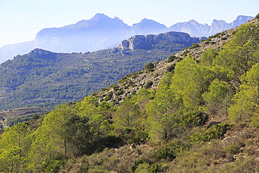 Mountain peaks landscape from Coll de Rates, looking west, Tarbena, Marina Alta, Alicante province, Spain, Europe