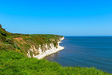 Scenic view of white chalk cliffs and green coastline against a clear blue sky, Flamborough, Yorkshire, England, United Kingdom, Europe