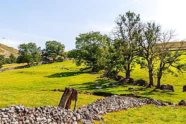 Idyllic rural landscape with lush green trees, stone wall remnants, and rolling hills under a clear blue sky, United Kingdom, Europe