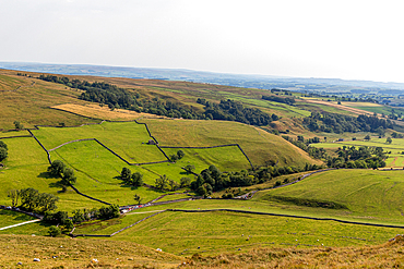 Rolling green hills with patchwork fields and trees under a hazy sky, depicting rural tranquility, North Yorkshire, England, United Kingdom, Europe