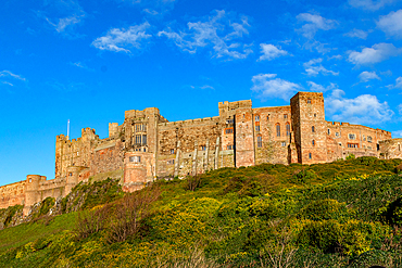 Majestic medieval castle on a hill with lush greenery under a clear blue sky, Bamburgh, Northumberland, England, United Kingdom, Europe