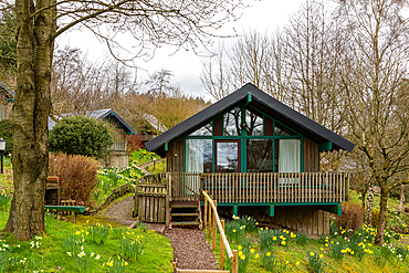 Cosy wooden cabin with green trim, surrounded by lush garden and spring flowers, featuring a welcoming deck and tranquil setting, North York Moors, Yorkshire, England, United Kingdom, Europe United Kingdom, Europe