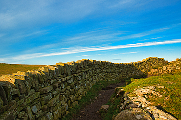 Scenic view of an ancient stone wall stretching across a grassy landscape under a blue sky with wispy clouds at Sycamore Gap, Northumberland, UK.