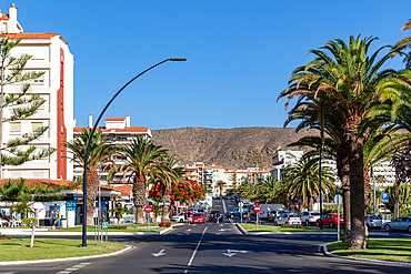 Sunny city street lined with palm trees leading towards distant hills, clear blue sky above in Los Cristianos, Tenerife, Canary Islands, Spain, Atlantic, Europe