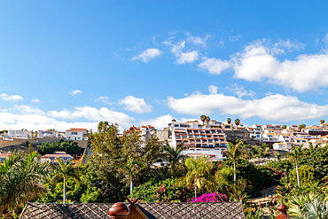 Sunny residential area with modern houses and lush greenery under a clear blue sky in Los Cristianos, Tenerife, Canary Islands, Spain, Atlantic, Europe