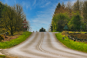 A scenic rural road with warning road signs, surrounded by lush green trees under a clear blue sky.