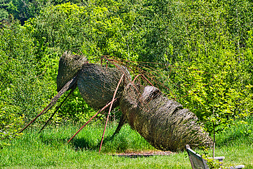 A large, woven sculpture of an insect, possibly an ant, made from natural materials and displayed in a lush, green outdoor setting.