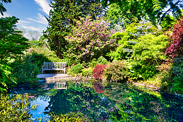 A serene garden scene with a wooden bench beside a tranquil pond surrounded by lush greenery and blooming flowers.