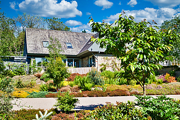 A modern house with a sloped roof surrounded by a lush, landscaped garden with various plants and trees. The sky is clear with a few clouds.