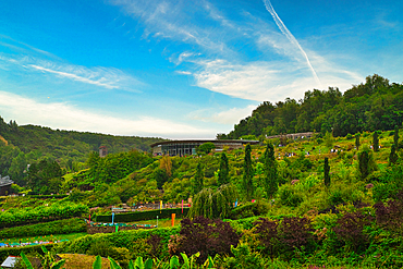 At Eden Project