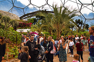 At Eden Project