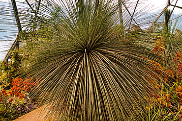 At Eden Project