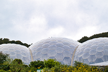 At Eden Project