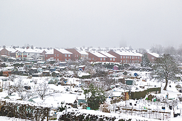 Snow-covered allotment gardens situated below a row of houses. The scene is overcast, with a muted color palette dominated by whites and muted reds of the building roofs in Harrogate, UK.