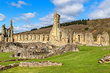 Ancient abbey ruins on a sunny day with blue sky and clouds, Byland Abbey, North Yorkshire, England, United Kingdom, Europe