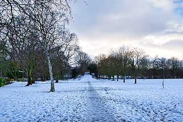 Snow-covered park path leads through leafless trees to a distant structure under a pale sky. The scene is peaceful and wintery in Harrogate, UK.