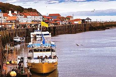 Coastal scene with boats docked along a pier, town buildings with red roofs in the background, and gulls in the sky in Whitby, UK.