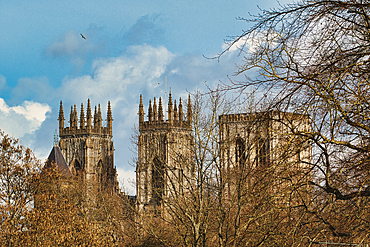 Three cathedral towers rise behind bare trees against a blue, cloudy sky. One bird is visible in the sky in York, UK.