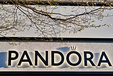 Pandora sign on a white textured wall with branches and budding leaves in the foreground in Harrogate, Yorkshire, UK.