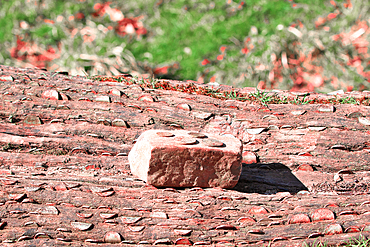 Close-up of a log covered with coins and topped with a brick holding coins. Blurred grass in background.