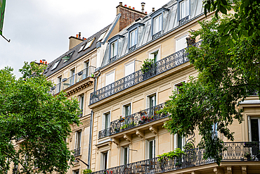 Low-angle shot of Parisian apartment buildings with wrought-iron balconies and green trees against an overcast sky.