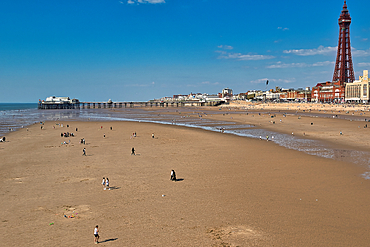 Wide shot of a beach at low tide, with people, piers, buildings, and a tall tower visible under a clear sky.
