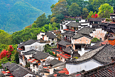 Huangling ancient village in autumn in Wuyuan County, Shangrao City, Jiangxi Province, China. The village dates back to the Ming Dynasty more than 500 years ago and is known for its natural beauty. Spectacular view of harvests being sundried in autumn.