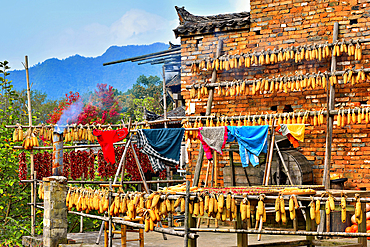 Corn, chillies and laundry being sun dried in autumn in Huangling, Wuyuan County, Shangrao City, Jiangxi Province, China. Huangling is an ancient village that dates back to the Ming Dynasty more than 500 years ago and is known for its natural beauty.