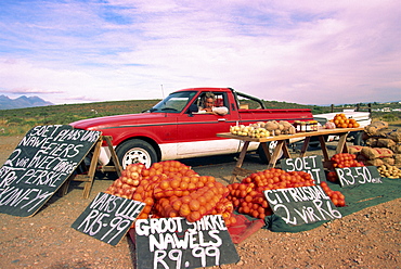 Highway fruit vendor, South Africa, Africa