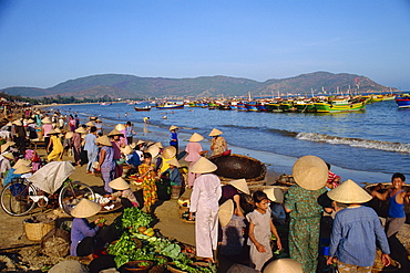 Daily fish market on beach, Quinhon City, Vietnam, Indochina, Southeast Asia, Asia