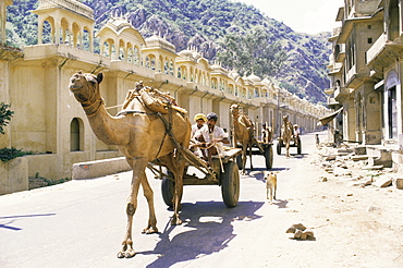 Street scene with camel cart, Jaipur, Rajasthan state, India, Asia