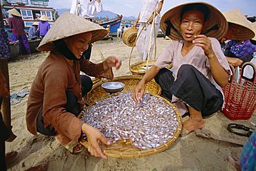 Morning fish market, Nha Trang, Vietnam, Indochina, Southeast Asia, Asia