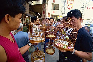 Birds in cages on Bird Street in Hong Kong, China, Asia