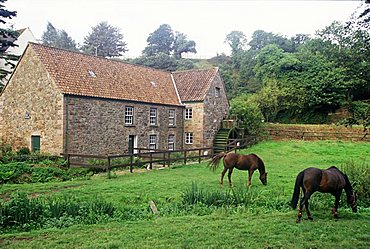 Water mill, Jersey, Channel Islands, United Kingdom, Europe