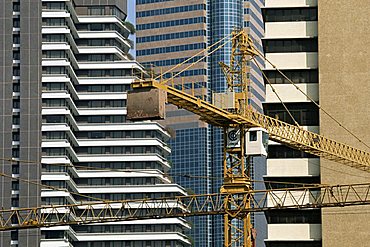 Cranes and buildings, Shanghai, China, Asia