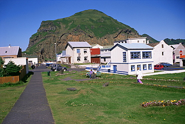 Heimaey, Westmann Islands, Iceland, Polar Regions