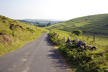 Lane, Challacombe, Dartmoor, Devon, England, United Kingdom, Europe